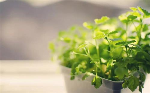 乾港集團 乾港集團